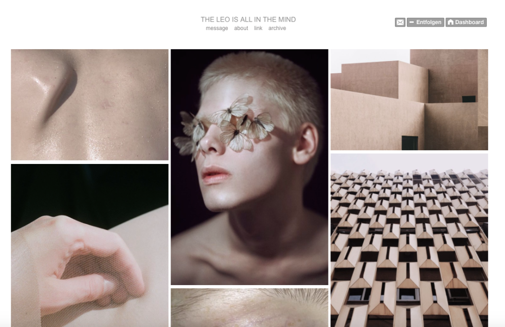 "The Leo Is All In The Mind" ist das Produkt einer jungen niederländischen Designerin, die den "Infinite Scroll" für sich entdeckt hat. Sie sammelt Bilder auf Tumblr, die dann so arrangiert werden, dass sie farblich ineinander übergehen. Das wird jedoch erst beim Scrollen erfahrbar. Damit legt sie zentrale Mechanismen von Tumblr frei: Bilder gehen hier erst im Plural auf und sind auf unsere Teilnahme, dass Scrollen, angewiesen.